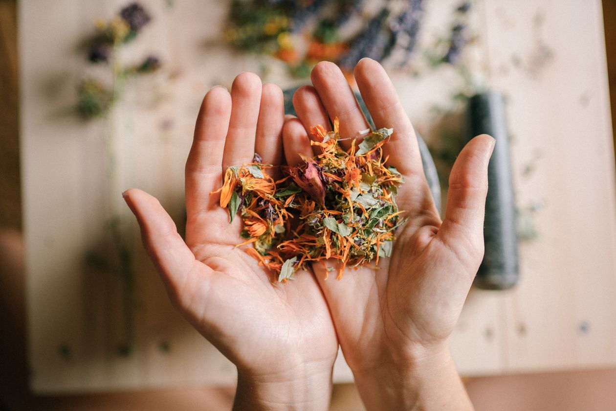 Medicinal Plants