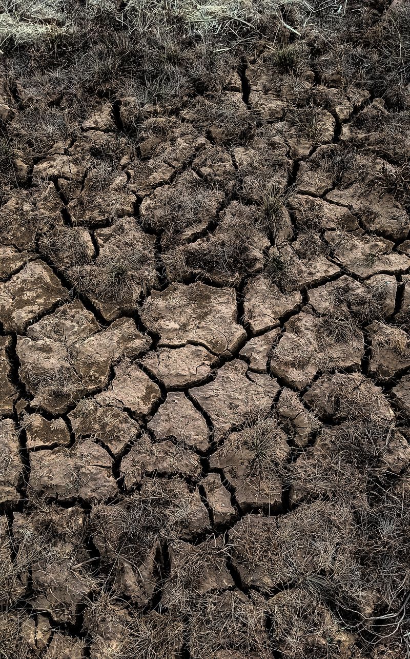 Drought cracked earth from climate change