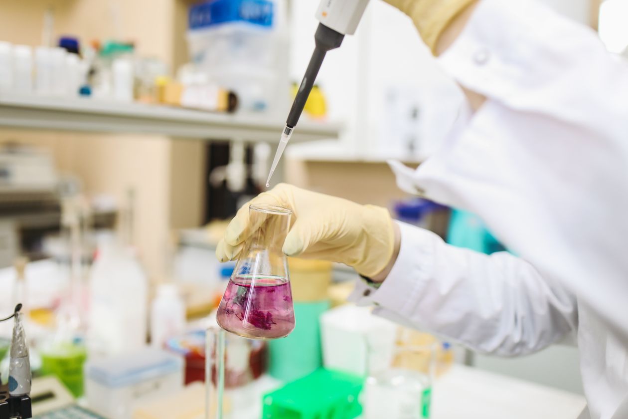 Knowledge Hub - Scientific research