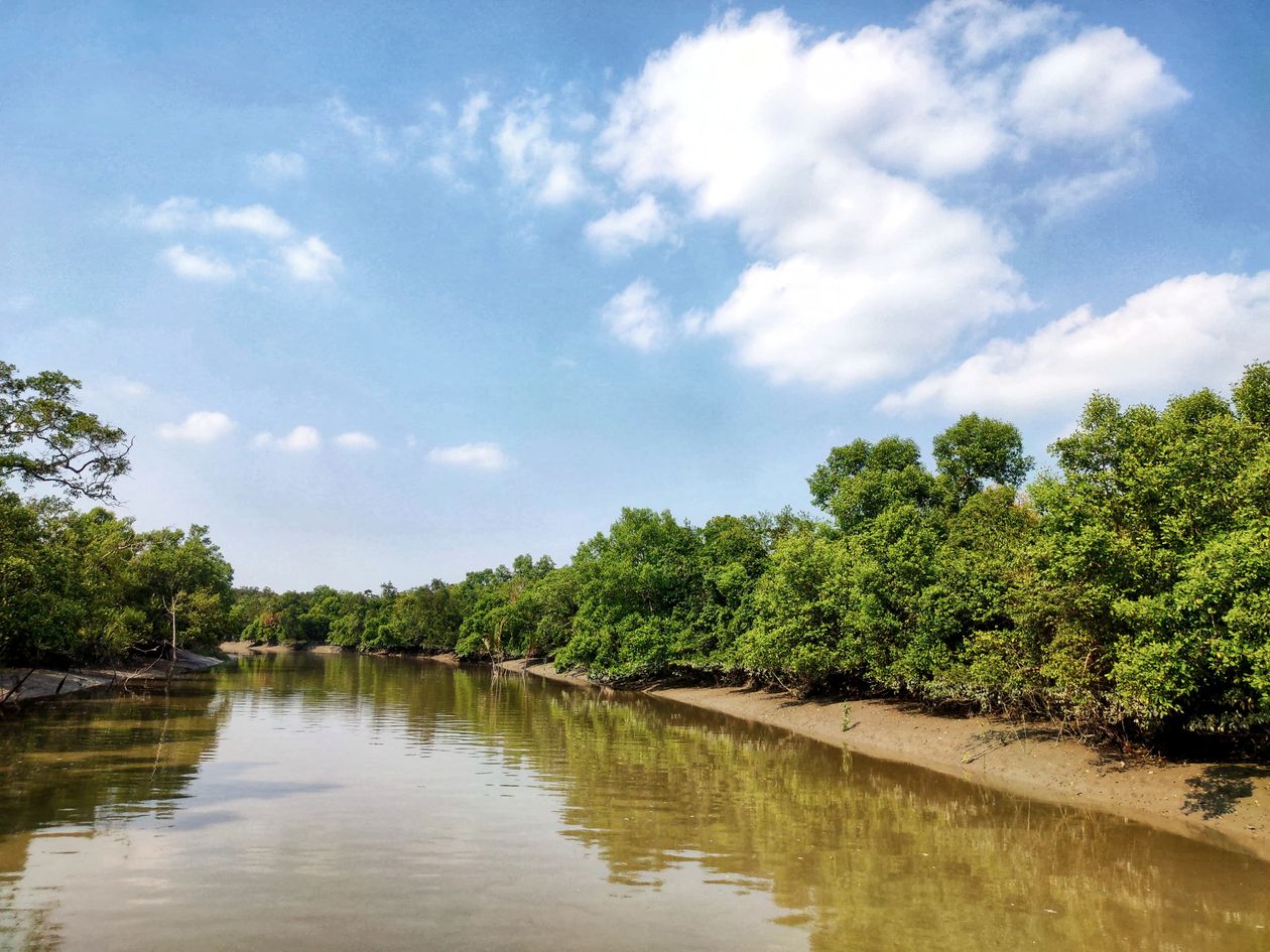 Sundarbans mangrove forest in Bangladesh