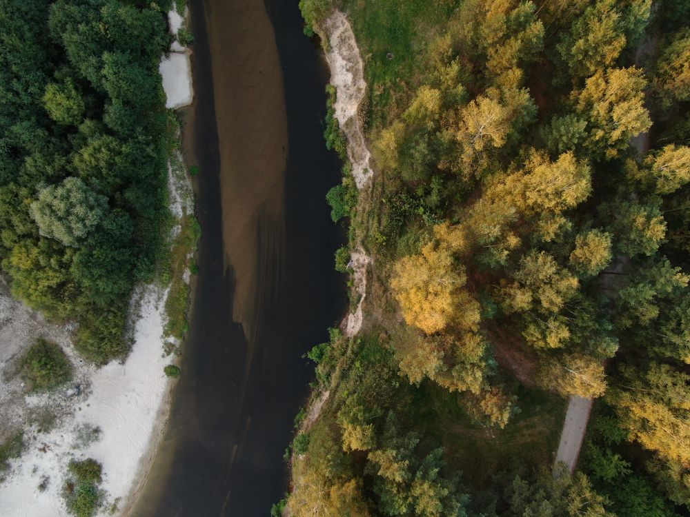 Aerial view of a river winding through forest watershed