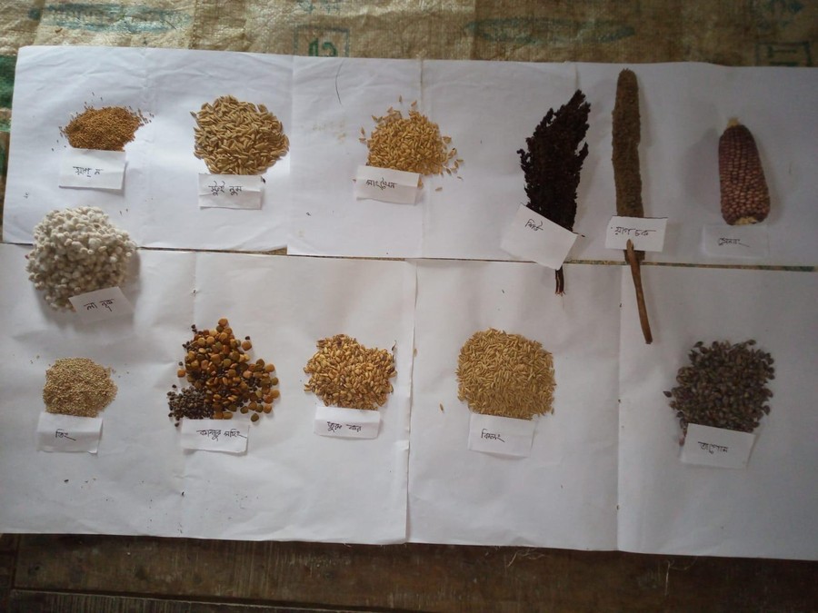 Community Seed Bank