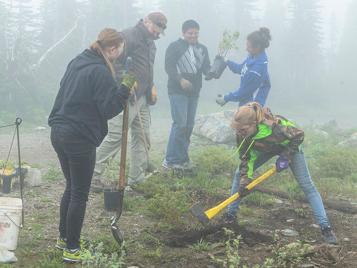 Seed Sovereignty & Native Forest Volunteer Program